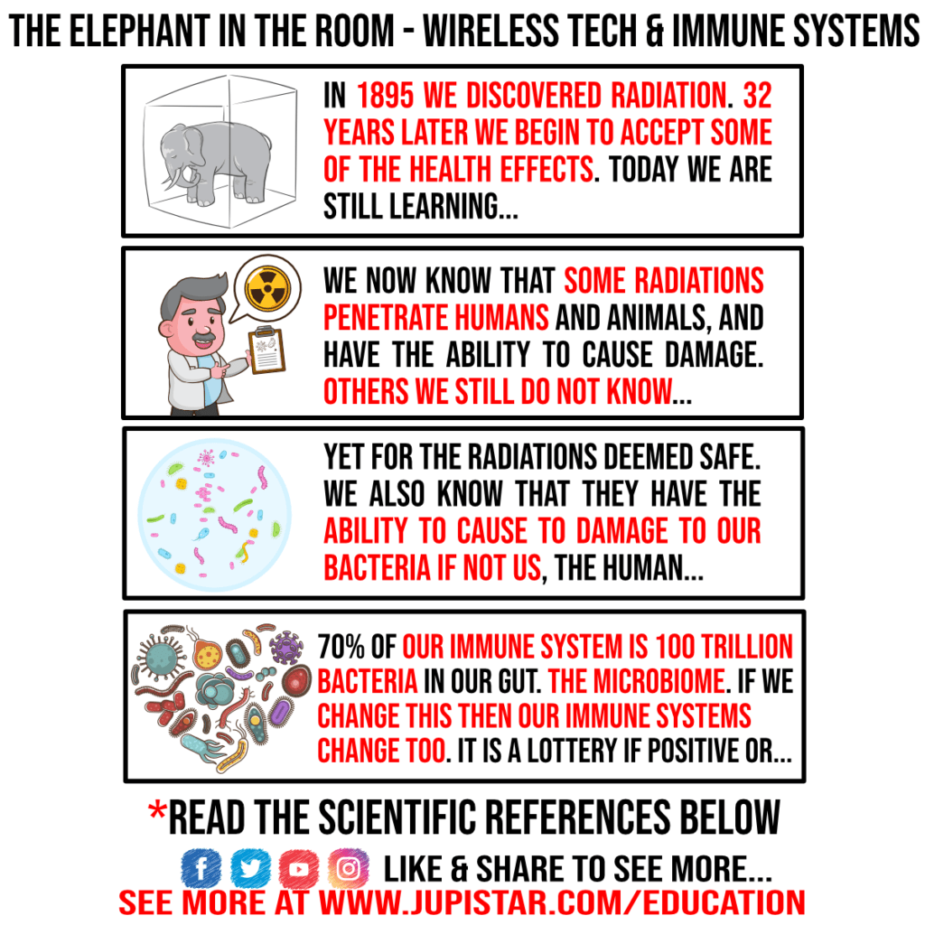 Wireless Tech and Immune System